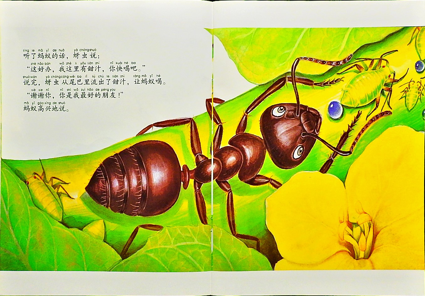 勇敢的小蚂蚁 (06),绘本,绘本故事,绘本阅读,故事书,童书,图画书,课外阅读